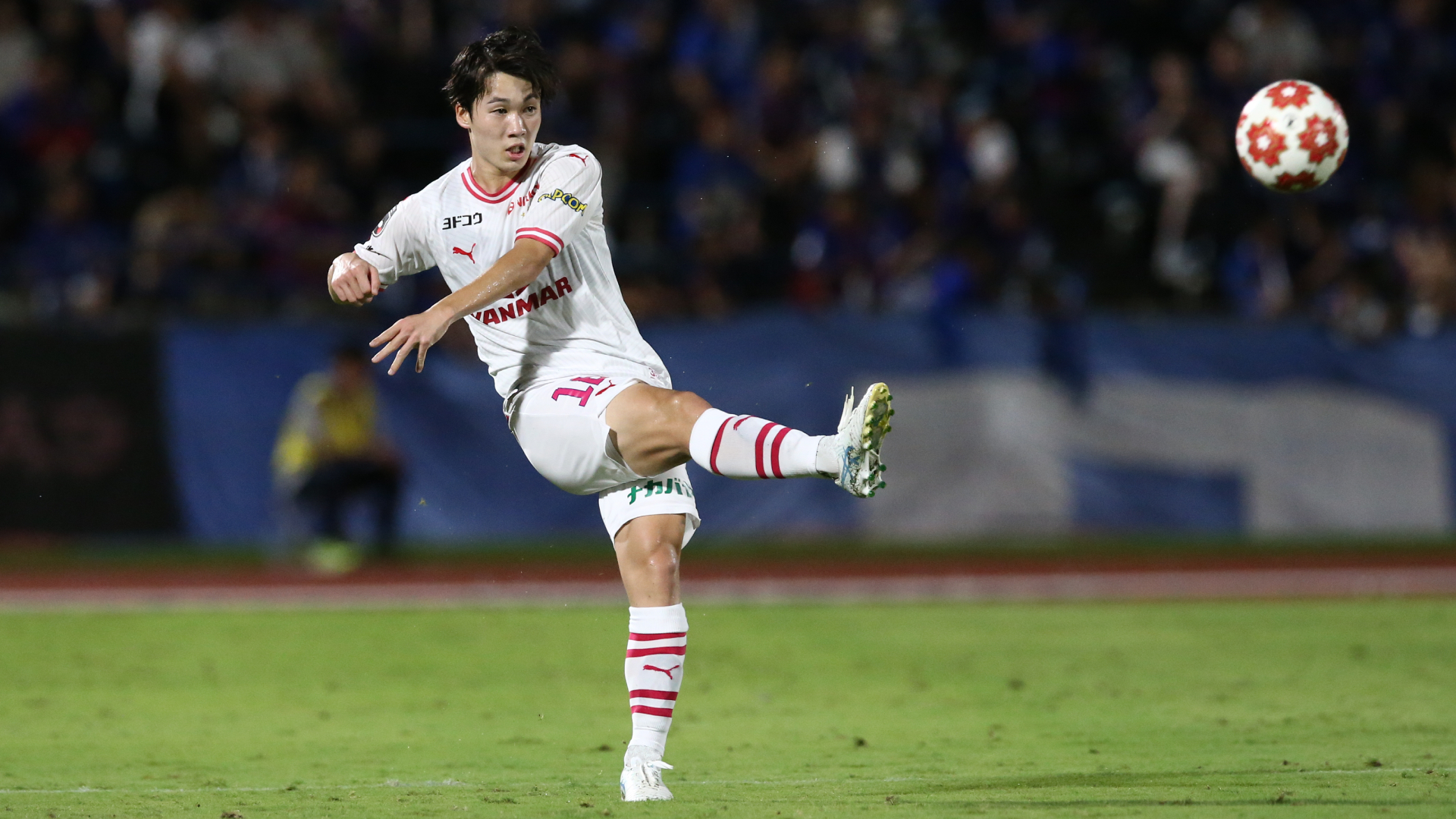 し*も様 【サイン入】セレッソ大阪 16 奥田勇斗2024年練習着